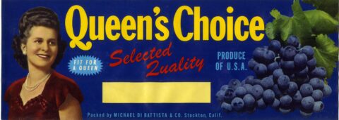 Queen s Choice